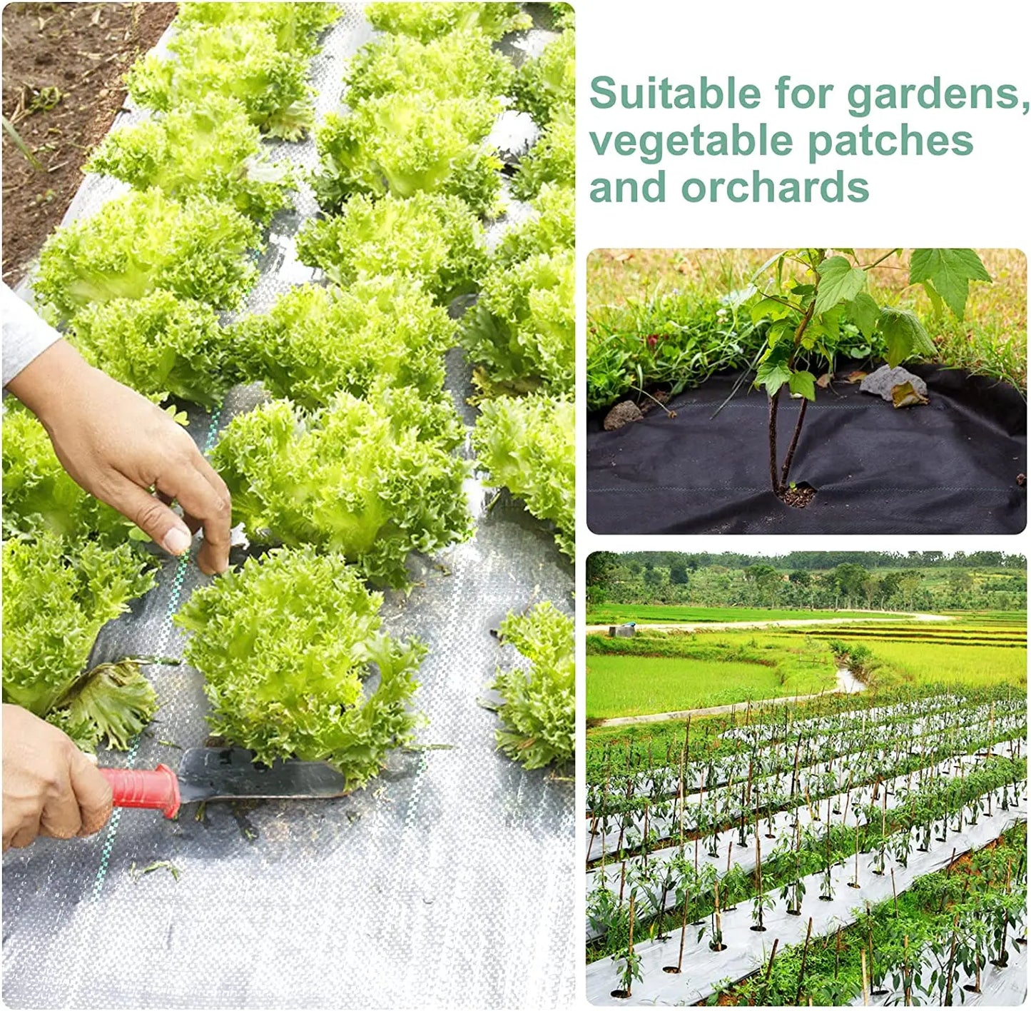 Choice Heavy Duty Weed Barrier Fabric For Gardeners