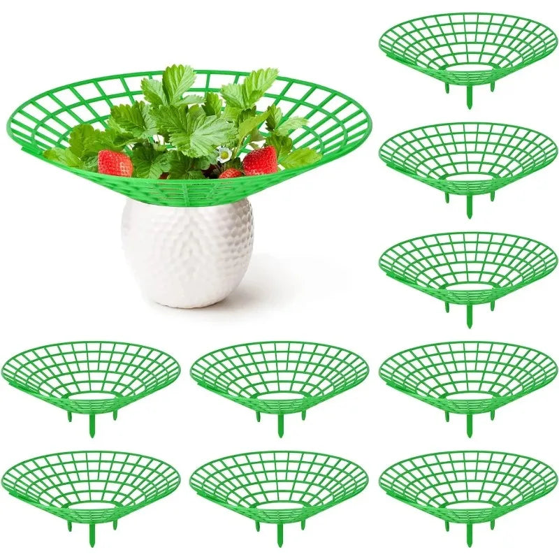 Choice Anti Rot Strawberry Plant Support Frame Gardeners