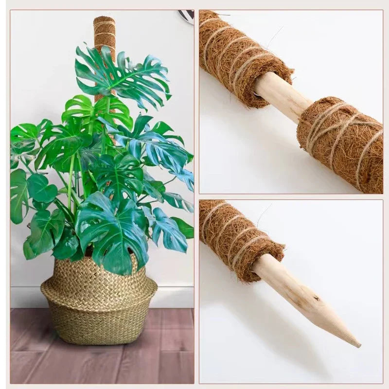 Choice Coconut Palm Sticks For Gardeners Extendable