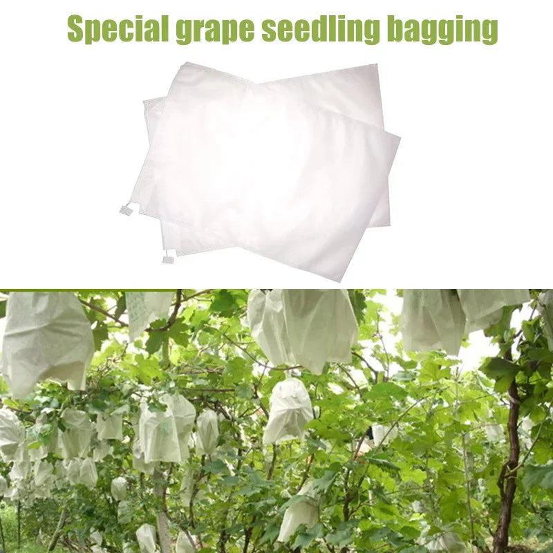 Choice Grape Protect Bags Drawstring Mesh For Gardeners