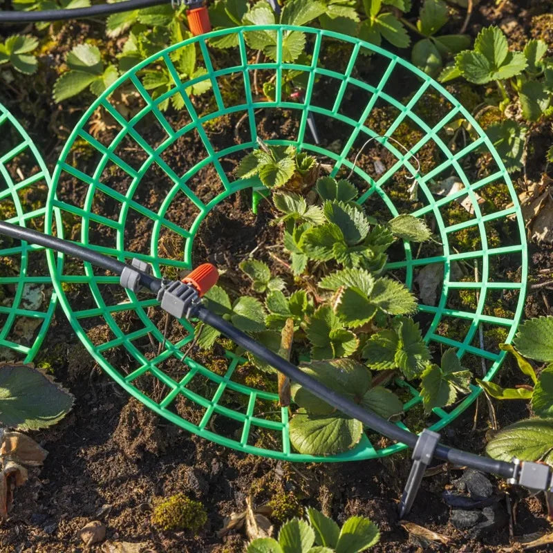 Choice Anti Rot Strawberry Plant Support Frame Gardeners