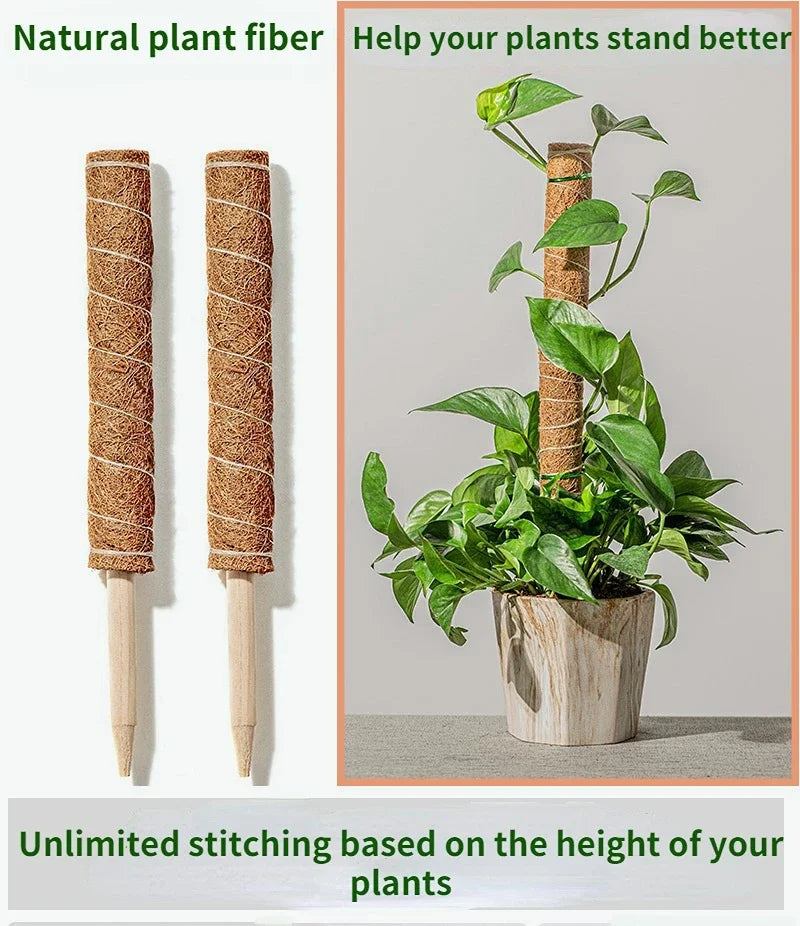 Choice Coconut Palm Sticks For Gardeners Extendable