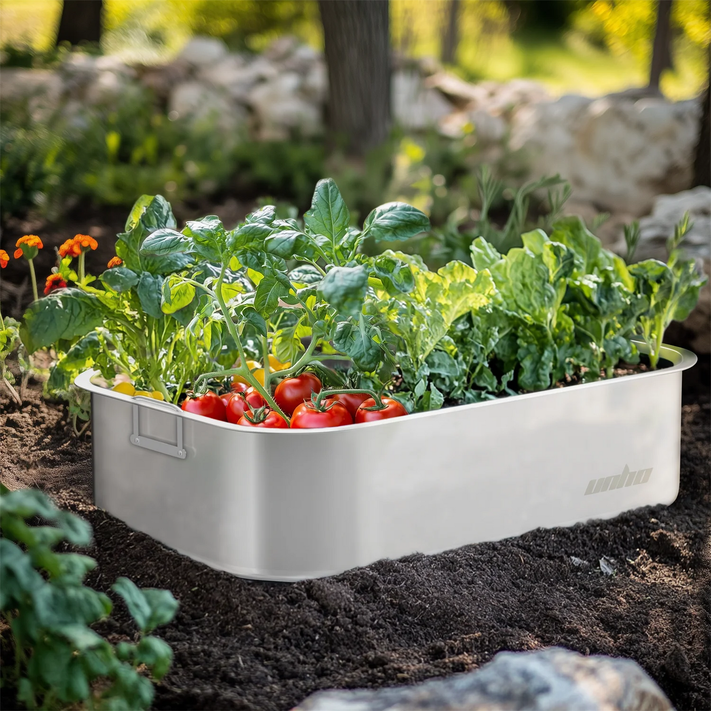 Stainless Steel Plant Box Decks Set of 3 for Garden