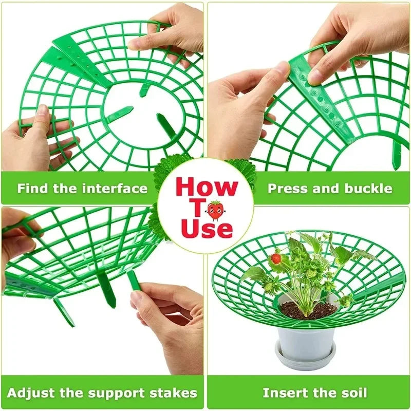 Choice Anti Rot Strawberry Plant Support Frame Gardeners