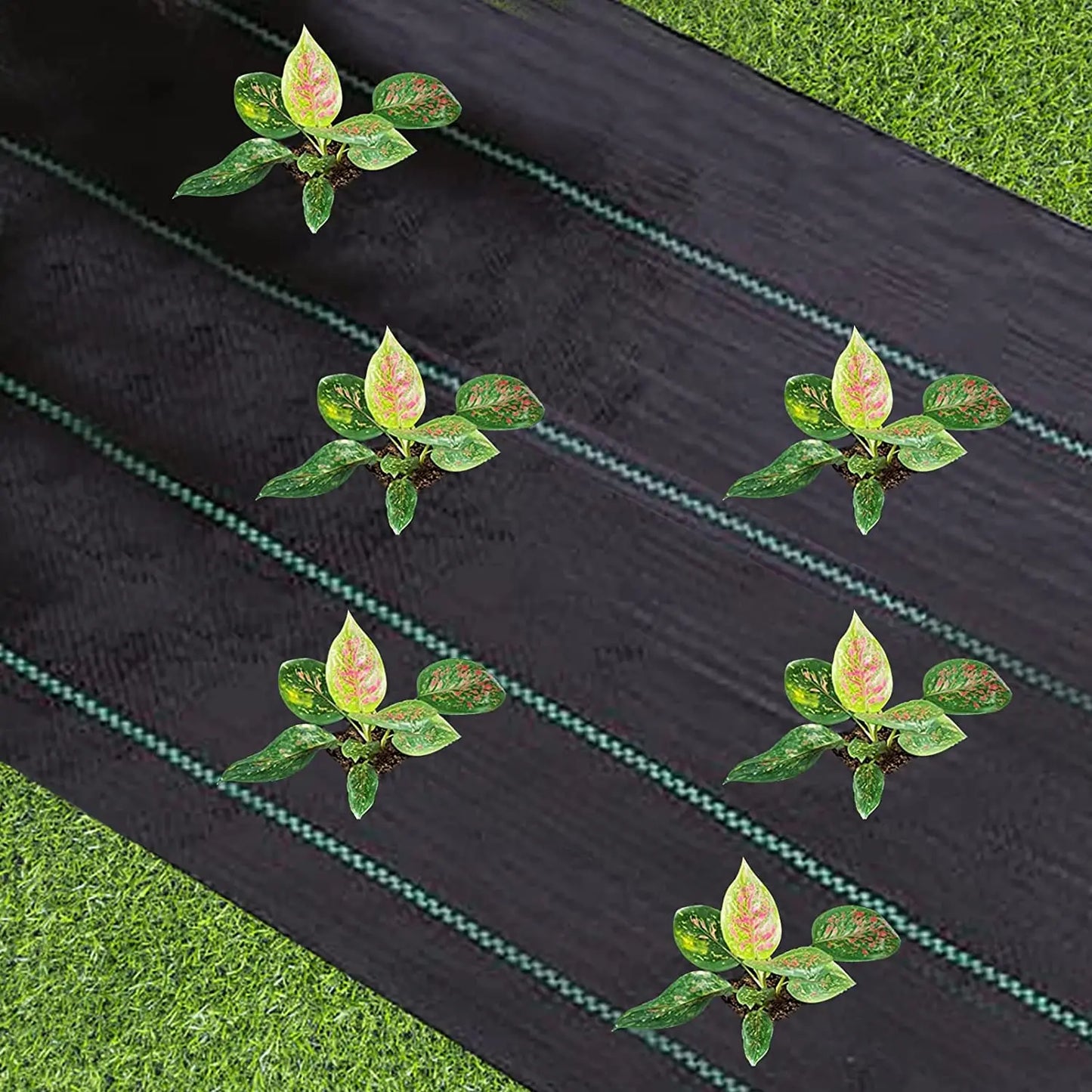 Choice Heavy Duty Weed Barrier Fabric For Gardeners