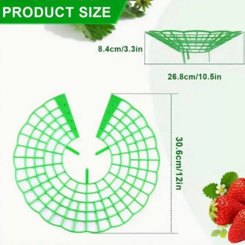 Choice Anti Rot Strawberry Plant Support Frame Gardeners