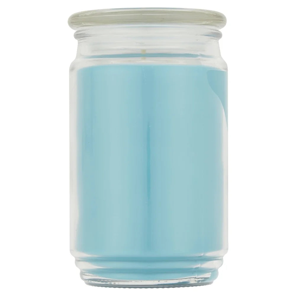 XMSJ Garden Rain Scented Candle Glass Jar Home Decor