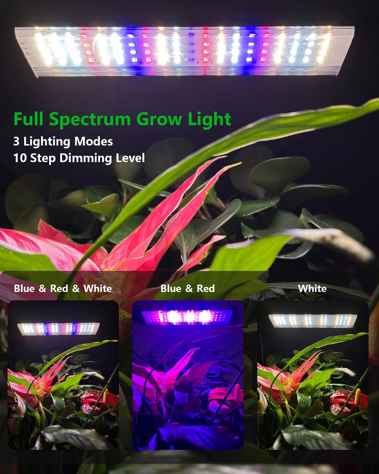 DPROOTS 6 Pot Self Watering Wall Planter Grow Light Indoor