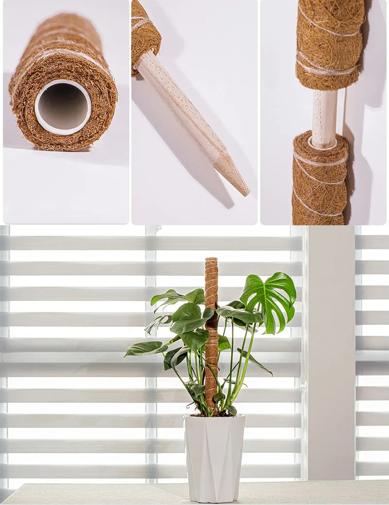 Choice Coconut Palm Sticks For Gardeners Extendable