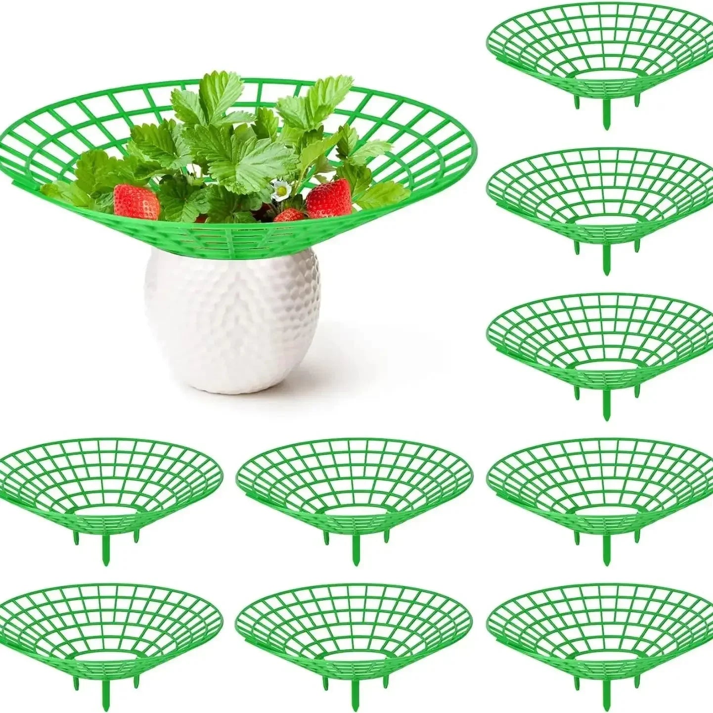 Choice Anti Rot Strawberry Plant Support Frame Gardeners
