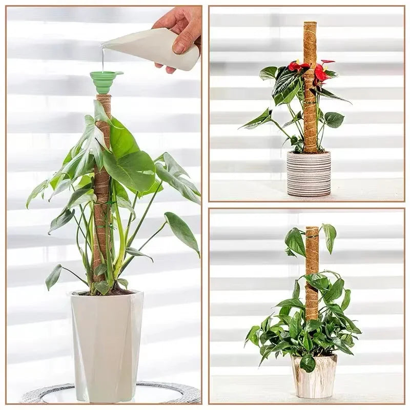 Choice Coconut Palm Sticks For Gardeners Extendable