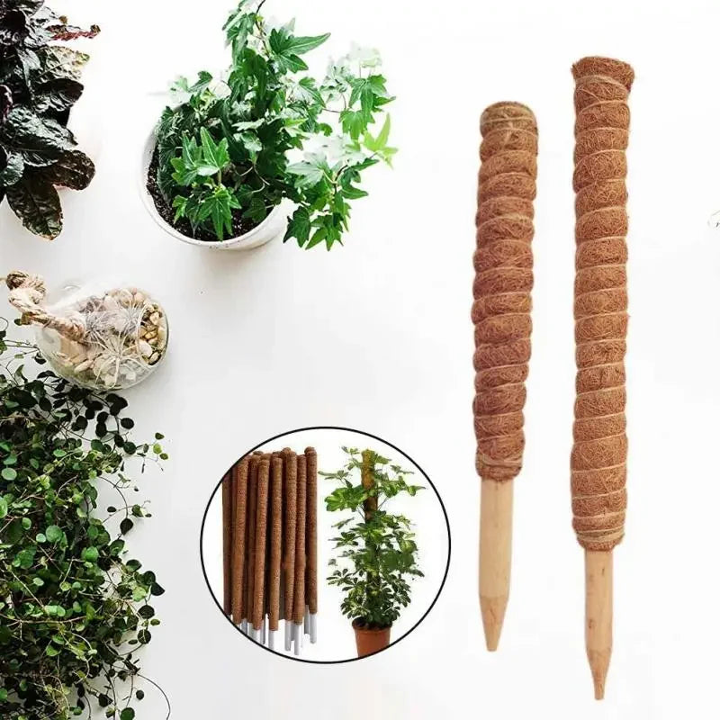 Choice Coconut Palm Sticks For Gardeners Extendable