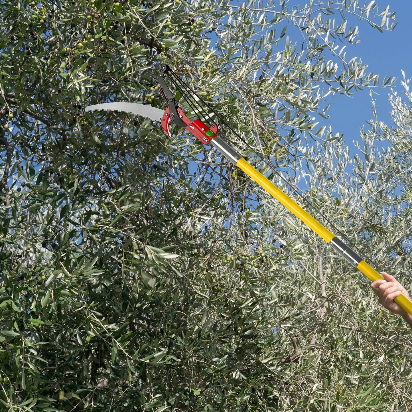Telescopic Tree Pole Pruner 30 Feet Gardeners Lopper Tool