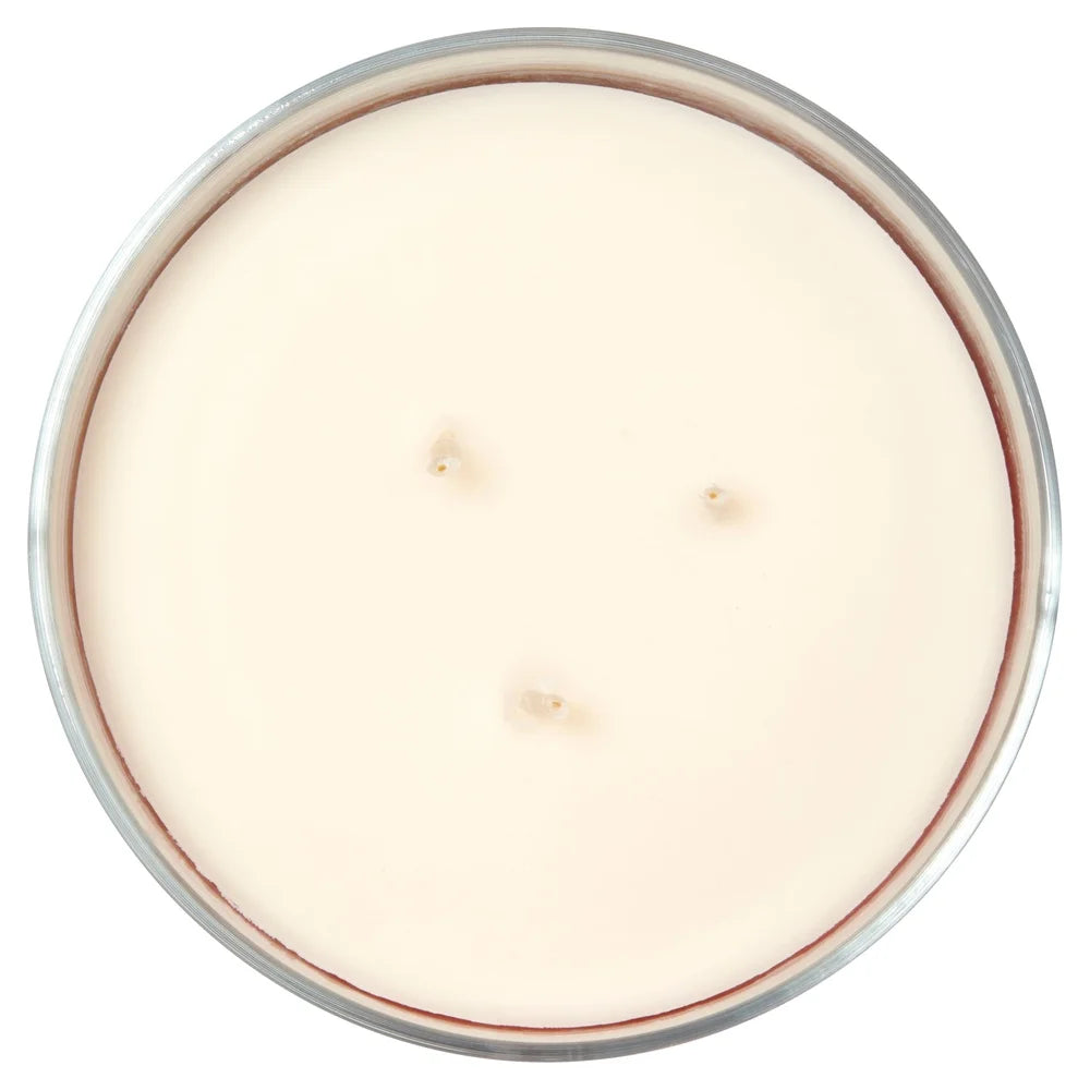 XMSJ Three Wick Juicy Watermelon Scented Candle Home Decor