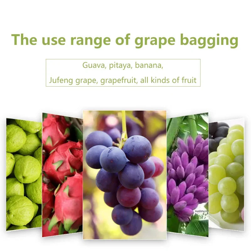 Choice Grape Protect Bags Drawstring Mesh For Gardeners
