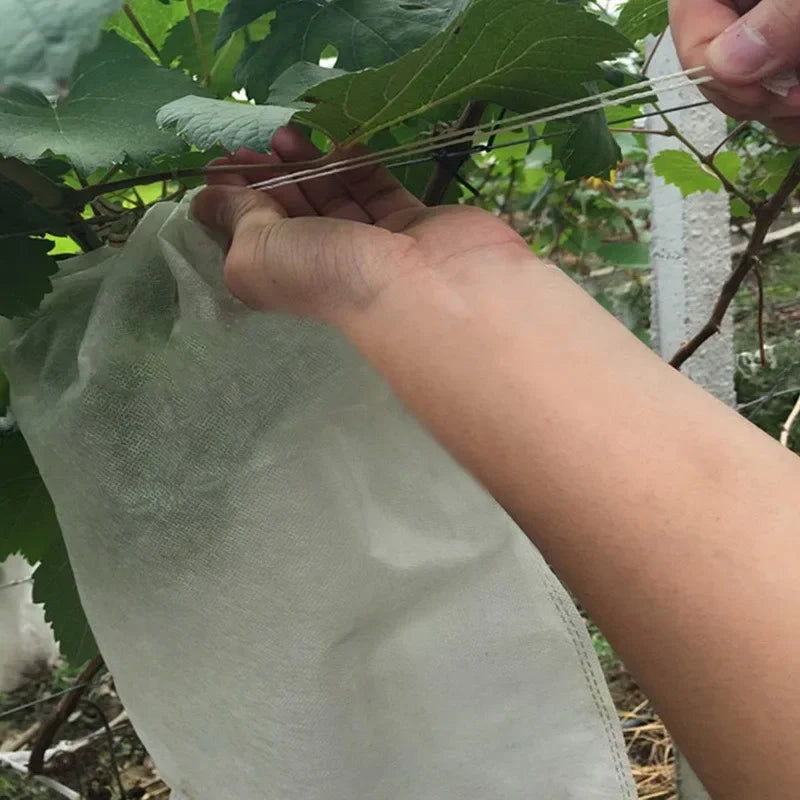 Choice Grape Protect Bags Drawstring Mesh For Gardeners