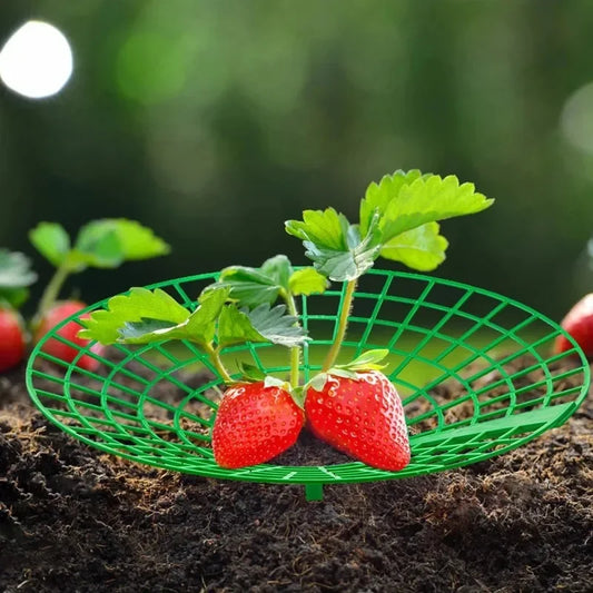 Choice Anti Rot Strawberry Plant Support Frame Gardeners