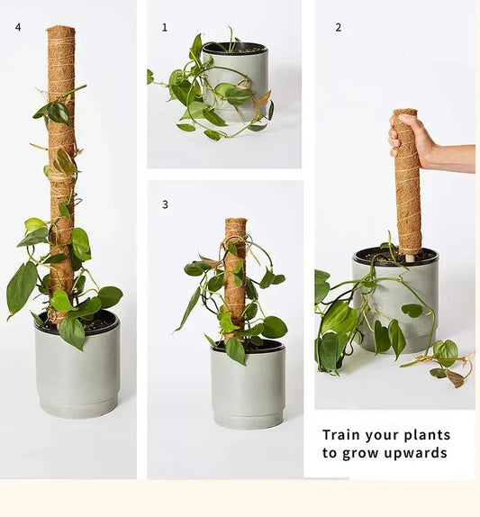 Choice Coconut Palm Sticks For Gardeners Extendable